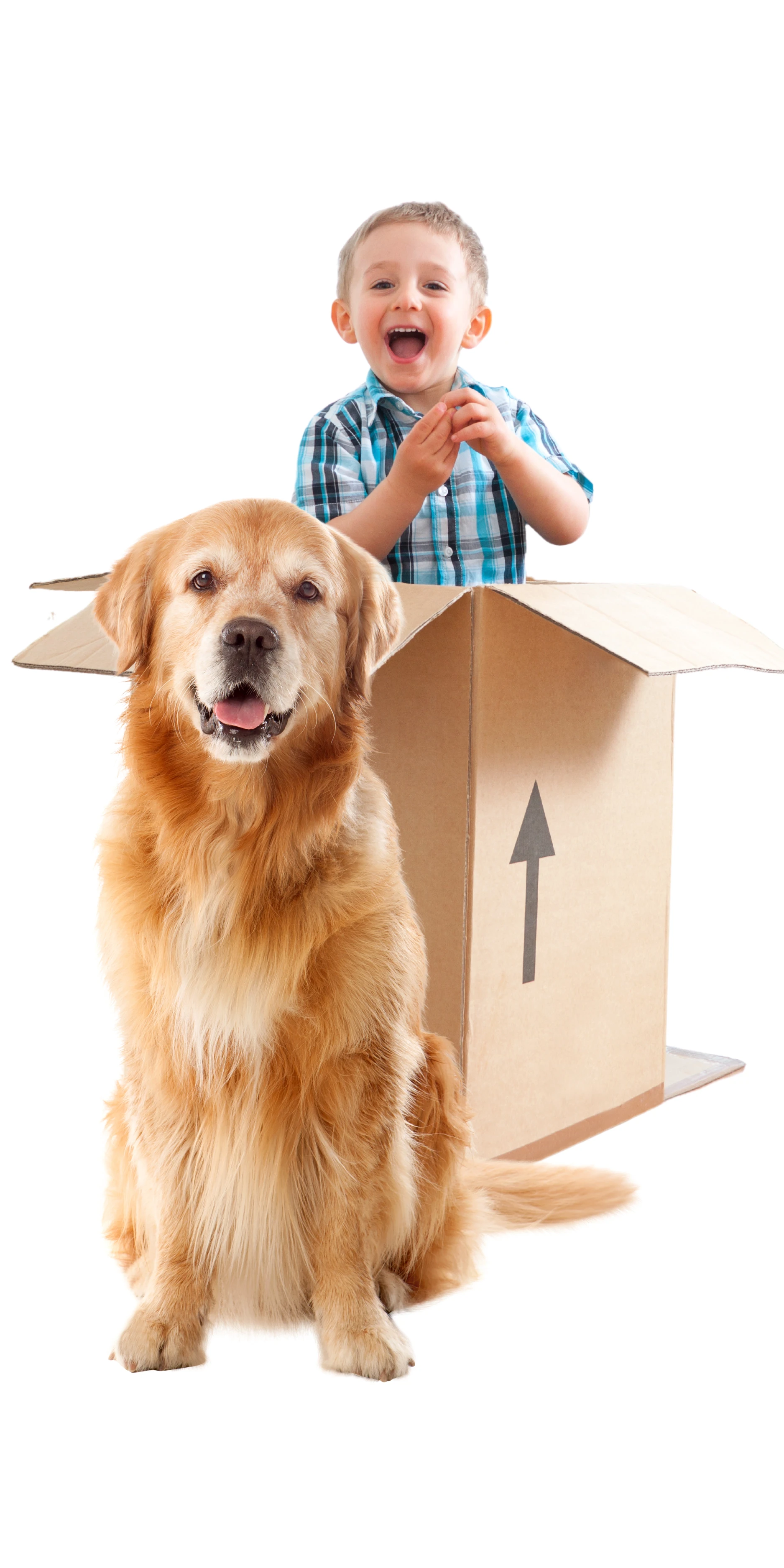 child in box next to dog